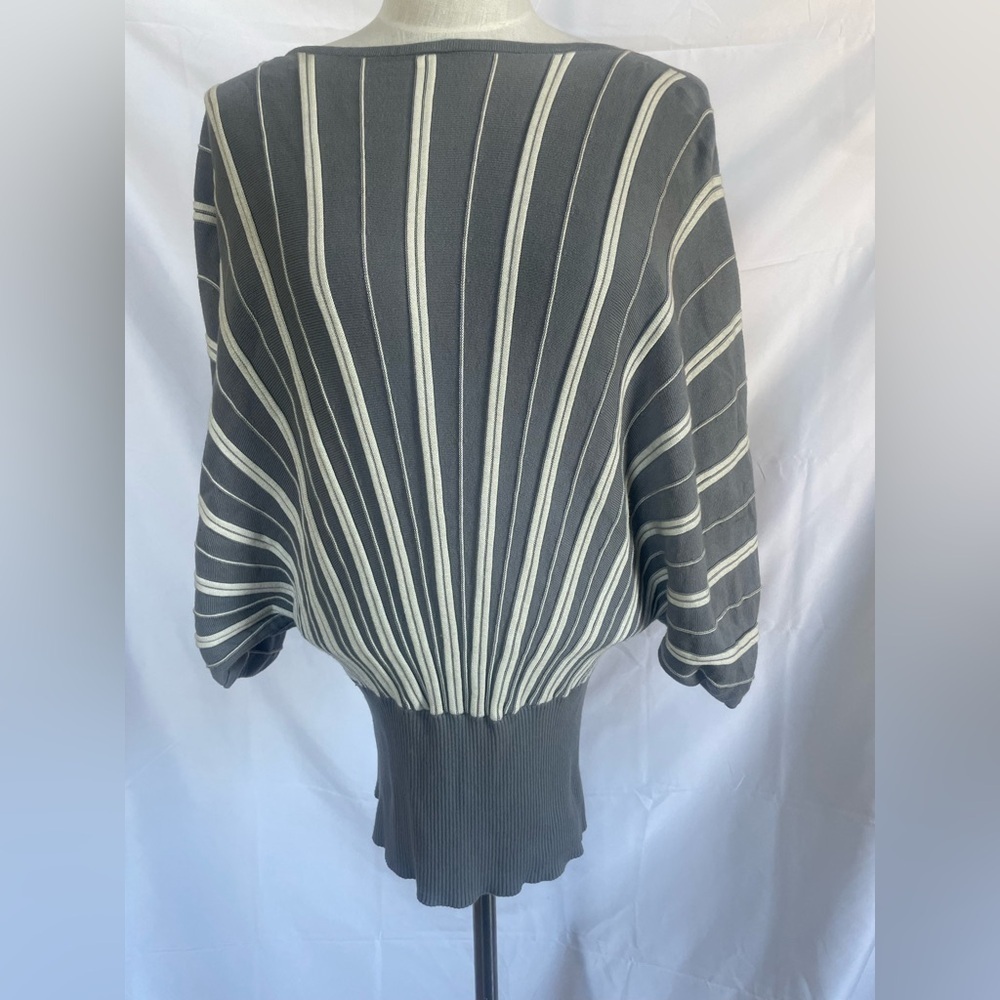 Dolman sleeve pullover with a ribbed hem Gray White Stripe Sweater 14/16W